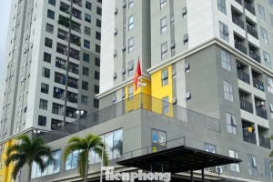 Bất động sản vệ tinh TPHCM diễn biến ra sao?