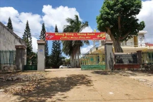 Bắt tạm giam một Giám đốc công ty lâm nghiệp