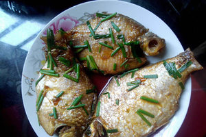 Loài cá sông nước miền Tây xưa ít người biết, nay thành đặc sản giá 180.000 đồng/kg