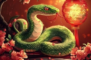 Tử vi tuổi Tỵ năm 2026: Bước vào giai đoạn bùng nổ, nhận nhiều tin vui về công việc, sức khỏe cần lưu tâm