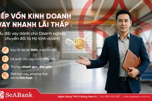 Nghịch lý 'lính mới': Kinh doanh nhiều năm vẫn khó vay vốn sau khi chuyển đổi doanh nghiệp