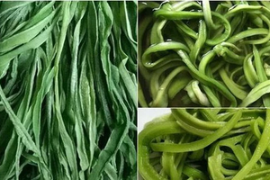4 thứ rau 'quý như vàng' của Việt Nam, có tiền chưa chắc đã mua được: Có loại chạm mốc cả triệu đồng/kg