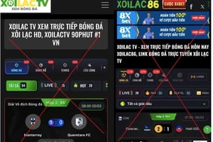 Hé lộ công ty công nghệ đứng sau hệ thống Xôi Lạc TV