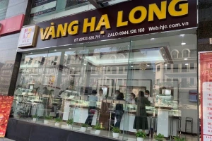Chính thức khởi tố vợ chồng Giám đốc Công ty TNHH Vàng bạc đá quý Hạ Long