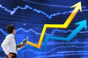 Một doanh nghiệp cao su mang vườn cây 274ha ra bán, cổ phiếu tăng trần gần chục phiên
