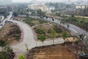 Xã cách Mỹ Đình (Hà Nội) 18km vừa đấu giá 13 thửa đất, cao nhất lên đến gần 160 triệu/m2