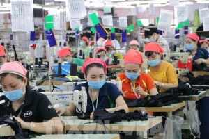 Đồng Nai yêu cầu doanh nghiệp tạo điều kiện để công nhân đi bầu cử