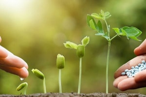 Giá phân bón tăng sốc vì Trung Đông: Hai doanh nghiệp Việt đã 'chuẩn bị hàng' từ trước