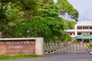 Thanh tra Chính phủ chỉ ra loạt sai phạm tại doanh nghiệp thuộc Tập đoàn Cao su Việt Nam