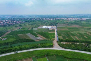 Hưng Yên 'chốt' tiến độ GPMB dự án sân golf 1,5 tỷ USD