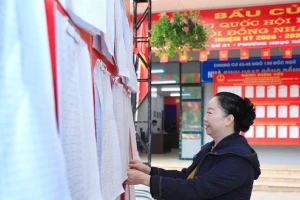 Chủ tịch Hà Nội yêu cầu các phường đảm bảo thái độ phục vụ cử tri trang trọng, cầu thị