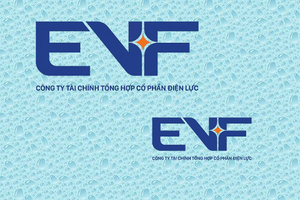 EVF huy động tối đa 5.000 tỷ đồng vốn cấp 2, chuẩn bị dư địa cho giai đoạn tăng trưởng mới