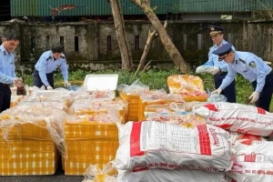 Phát hiện hơn 2,6 tấn nội tạng, xương động vật không rõ nguồn gốc