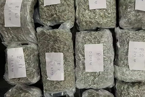 Chặn xe ô tô tải trên đường quốc lộ, thu giữ hơn 530kg hàng cấm trị giá 7,6 tỷ đồng, bắt 5 người liên quan