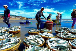 'Mỏ vàng dưới nước' của Việt Nam kiếm 1,7 tỷ USD chỉ sau 2 tháng, thị trường nào đang mua mạnh nhất?