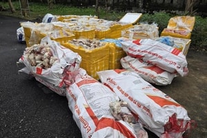 2,6 tấn nội tạng, xương ống, mỡ động vật không rõ nguồn gốc bị phát hiện trên cao tốc Bắc - Nam