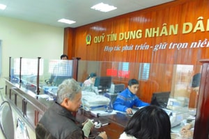 Quỹ tín dụng nhân dân tiếp sức cho gần 35.000 hợp tác xã
