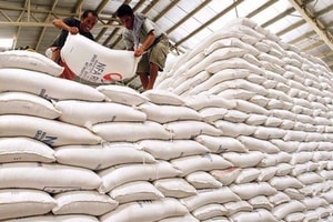 Đề xuất nâng dự trữ quốc gia lên tối thiểu 1% GDP vào năm 2030