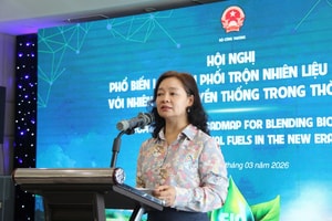 Chưa ghi nhận phản hồi tiêu cực về xăng E5, E10