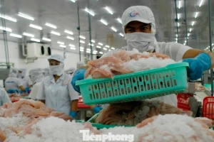 Lo rủi ro logistics, một số doanh nghiệp thủy sản tạm dừng xuất khẩu Trung Đông