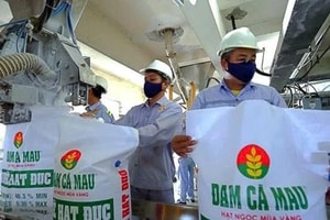 Vietcap: Nguồn cung khí cho DCM, DPM vẫn được đảm bảo