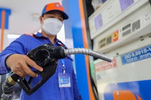 Chỉ đạo, điều hành của Chính phủ, Thủ tướng Chính phủ nổi bật tuần từ 7-13/3/2026