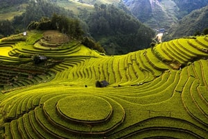 Việt Nam chính thức lọt top 'quốc gia đẹp nhất thế giới' do tạp chí Mỹ bình chọn
