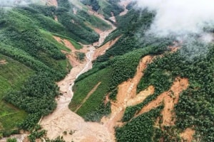 Việt Nam có đỉnh núi cao 1.400m là nơi mưa lớn thứ hai thế giới, được ví như 'Đà Lạt của miền Trung'