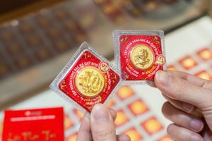 Giá vàng tuần này (9/3 - 14/3): Mất gần 5 triệu đồng/lượng, người mua lỗ nặng chỉ sau vài ngày