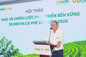 HAGL (HAG) công bố siêu dự án 20.000ha cà phê, doanh thu ước đạt 18.600 tỷ đồng/năm