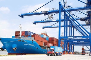 Chủ động ứng phó trước những biến động của thị trường, hạn chế tối đa rủi ro