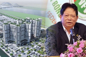 Dấu ấn của Hóa chất Đức Giang (DGC) trong lĩnh vực bất động sản