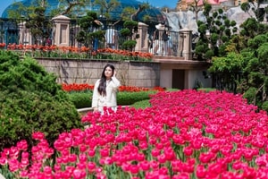 Đỉnh núi 'hot' nhất Việt Nam: Được 1 triệu bông tulip phủ kín, vé cáp treo không giới hạn 3 ngày