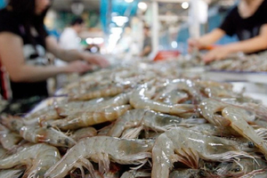 'Mỏ vàng dưới nước' của Việt Nam trỗi dậy: Trung Quốc chi đậm 309 triệu USD mua về, mặt hàng 'át chủ bài' mới lộ diện