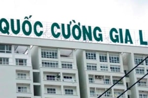 Quốc Cường Gia Lai (QCG): Bà Nguyễn Thị Như Loan chuẩn bị hầu tòa