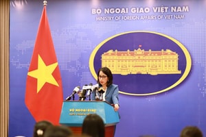 Bộ Ngoại giao Việt Nam lên tiếng về vụ án của Chu Đăng Khoa