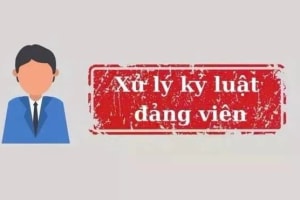 TPHCM thi hành kỷ luật 7 đảng viên