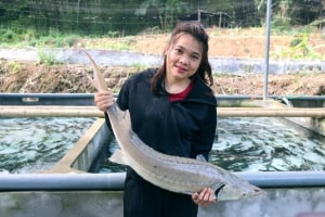 Cô gái Mường nuôi cá tầm ở Thanh Hóa trúng cử đại biểu HĐND tỉnh