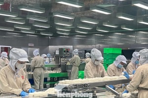 Chìa khóa 'thoát hiểm' giữa bão chi phí