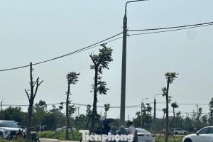 Đất nông thôn vùng quê bất ngờ 'sốt', ô tô đổ về kín đường