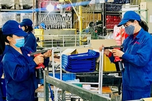 Chỉ đạo, điều hành của Chính phủ, Thủ tướng Chính phủ nổi bật tuần từ 14-20/3/2026