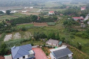 Từ giờ, chuyển đất trồng cây lâu năm sang đất ở bắt buộc phải nộp những khoản tiền nào?