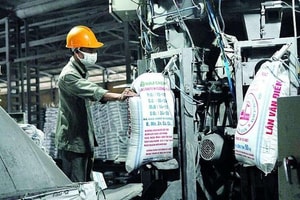 Doanh nghiệp phân bón 66 năm tuổi sắp bị huỷ niêm yết