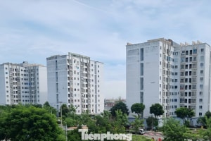Đà Nẵng dự kiến cho thuê nhà ở xã hội thấp nhất gần 54.000 đồng/m²/tháng