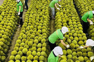 Chỉ 2 tháng thu gần 1 tỷ USD, Trung Quốc 'mạnh tay' mua về: Mặt hàng này của Việt Nam đang 'ăn nên làm ra' ra sao?