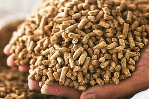 Một 'mỏ vàng' mới nổi của Việt Nam âm thầm 'hốt bạc': 2 tháng thu hơn 250 triệu USD, Trung Quốc chi đậm