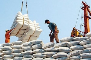 Doanh nghiệp xuất khẩu gạo gặp khó