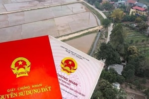 Cảnh báo: Một thay đổi quan trọng về sổ đỏ, nhiều người mua đất không biết dễ gặp rủi ro lớn