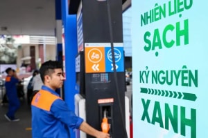 Các 'ông lớn' xăng dầu đồng loạt nâng cấp hệ thống, đón lộ trình xăng E10 rút ngắn