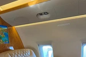 Đại gia thuê hẳn chuyên cơ chở thú cưng thoát khỏi Dubai
